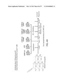 TREATMENT OF CANCER USING A CD123 CHIMERIC ANTIGEN RECEPTOR diagram and image