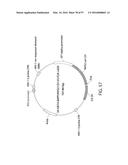 TREATMENT OF CANCER USING A CD123 CHIMERIC ANTIGEN RECEPTOR diagram and image