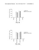 TREATMENT OF CANCER USING A CD123 CHIMERIC ANTIGEN RECEPTOR diagram and image