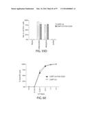 TREATMENT OF CANCER USING A CD123 CHIMERIC ANTIGEN RECEPTOR diagram and image