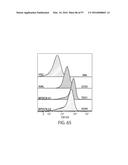 TREATMENT OF CANCER USING A CD123 CHIMERIC ANTIGEN RECEPTOR diagram and image