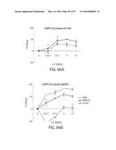 TREATMENT OF CANCER USING A CD123 CHIMERIC ANTIGEN RECEPTOR diagram and image