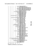 POLYPEPTIDES AND POLYNUCLEOTIDES, AND USES THEREOF AS A DRUG TARGET FOR     PRODUCING DRUGS AND BIOLOGICS diagram and image