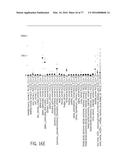 POLYPEPTIDES AND POLYNUCLEOTIDES, AND USES THEREOF AS A DRUG TARGET FOR     PRODUCING DRUGS AND BIOLOGICS diagram and image