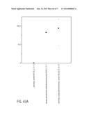 POLYPEPTIDES AND POLYNUCLEOTIDES, AND USES THEREOF AS A DRUG TARGET FOR     PRODUCING DRUGS AND BIOLOGICS diagram and image