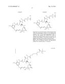 THERAPEUTIC PROTEIN FORMULATIONS diagram and image