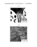 POLYMERIZABLE LACTAM COMPOSITION CONTAINING A SULFONATED POLYARYL SULFONE diagram and image