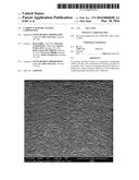 CARBON NANOTUBE COATING COMPOSITION diagram and image