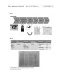 CARBON NANOTUBE COATING COMPOSITION diagram and image