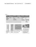 CARBON NANOTUBE COATING COMPOSITION diagram and image