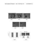 POLISHING COMPOSITIONS AND METHODS FOR POLISHING COBALT FILMS diagram and image