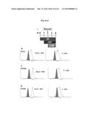 COMPOSITIONS AND METHODS FOR PRECISE PATTERNING OF POSTERIOR NEUROECTODERM     FROM HUMAN PLURIPOTENT STEM CELLS diagram and image