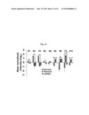 COMPOSITIONS AND METHODS FOR PRECISE PATTERNING OF POSTERIOR NEUROECTODERM     FROM HUMAN PLURIPOTENT STEM CELLS diagram and image