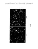 METHODS FOR COMPACT AGGREGATION OF DERMAL CELLS diagram and image