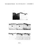 METHODS FOR COMPACT AGGREGATION OF DERMAL CELLS diagram and image