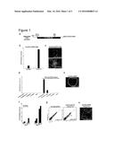 WNT PATHWAY STIMULATION IN REPROGRAMMING SOMATIC CELLS WITH NUCLEAR     REPROGRAMMING FACTORS diagram and image