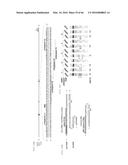 RECOMBINANT VIRUS AND PREPARATIONS THEREOF diagram and image