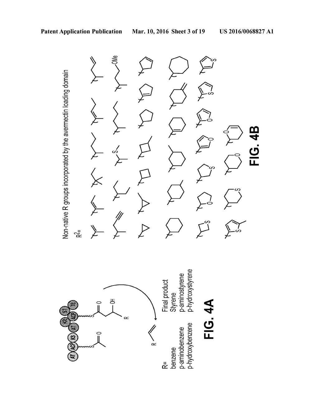 PRODUCING ALPHA-OLEFINS USING POLYKETIDE SYNTHASES - diagram, schematic, and image 04