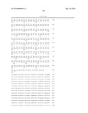 MODULATION OF ANDROGEN RECEPTOR EXPRESSION diagram and image