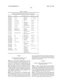 YEAST EXPRESSING SACCHAROLYTIC ENZYMES FOR CONSOLIDATED BIOPROCESSING     USING STARCH AND CELLULOSE diagram and image