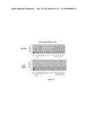 YEAST EXPRESSING SACCHAROLYTIC ENZYMES FOR CONSOLIDATED BIOPROCESSING     USING STARCH AND CELLULOSE diagram and image