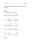 INCREASING PLANT GROWTH BY MODULATING OMEGA-AMIDASE EXPRESSION IN PLANTS diagram and image