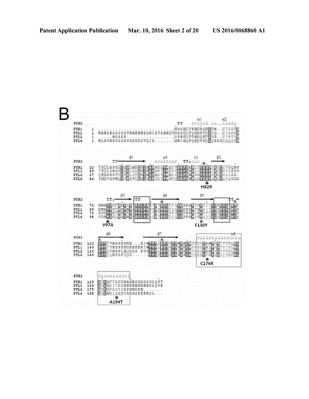 TRANSGENIC PLANTS - diagram, schematic, and image 03