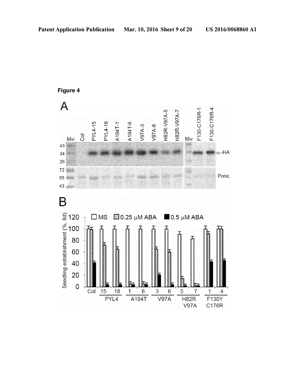 TRANSGENIC PLANTS - diagram, schematic, and image 10