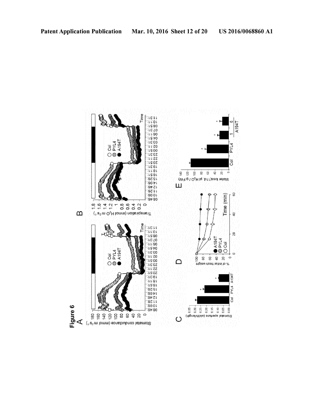 TRANSGENIC PLANTS - diagram, schematic, and image 13