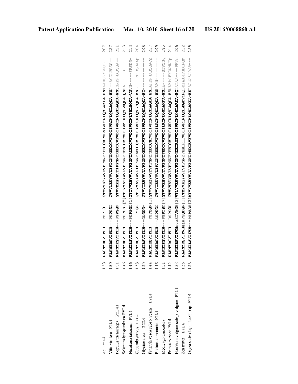 TRANSGENIC PLANTS - diagram, schematic, and image 17