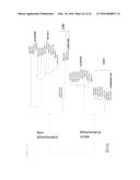 NOVEL ORGANIC ACID PATHWAY diagram and image