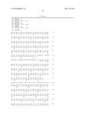 NOVEL ORGANIC ACID PATHWAY diagram and image