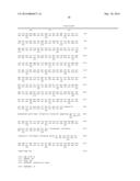 NOVEL ORGANIC ACID PATHWAY diagram and image