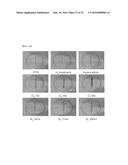 METHOD FOR GENERATING PLASMA UNIFORMLY ON DIELECTRIC MATERIAL diagram and image