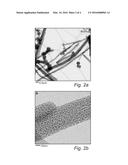 METHOD FOR COATING OF CARBON NANOMATERIALS diagram and image