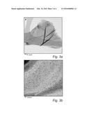 METHOD FOR COATING OF CARBON NANOMATERIALS diagram and image