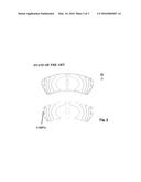 LINING CARRIER PLATE FOR A BRAKE LINING diagram and image