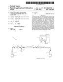 Inline Flow Rate Meter With Auxiliary Fluid Injection And Detection diagram and image