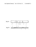 Labelled Silica Nanoparticles for Immunochromatographic Reagent,     Immunochromatographic Test Strip Using the Same, and     Immunochromomatographic Fluorescence-Detecting System or     Radiation-Detecting System diagram and image