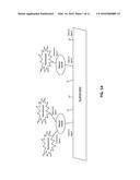 COMPOSITIONS AND METHODS FOR APTAMER SCREENING diagram and image