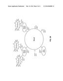 COMPOSITIONS AND METHODS FOR APTAMER SCREENING diagram and image