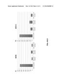 COMPOSITIONS AND METHODS FOR APTAMER SCREENING diagram and image