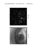 SYSTEMS AND METHODS FOR LIVENESS ANALYSIS diagram and image