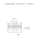 METALS-SEMICONDUCTOR NANOWIRE COMPOSITES diagram and image