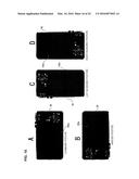 IMAGE PROCESSING DEVICE, IMAGE PROCESSING METHOD, AND PROGRAM diagram and image