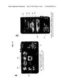 IMAGE PROCESSING DEVICE, IMAGE PROCESSING METHOD, AND PROGRAM diagram and image