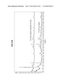 Antimicrobial Exfoliated Vermiculite Composite Material and Methods for     Preparing the Same diagram and image