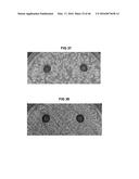 Antimicrobial Exfoliated Vermiculite Composite Material and Methods for     Preparing the Same diagram and image