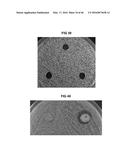 Antimicrobial Exfoliated Vermiculite Composite Material and Methods for     Preparing the Same diagram and image