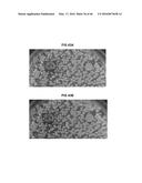 Antimicrobial Exfoliated Vermiculite Composite Material and Methods for     Preparing the Same diagram and image